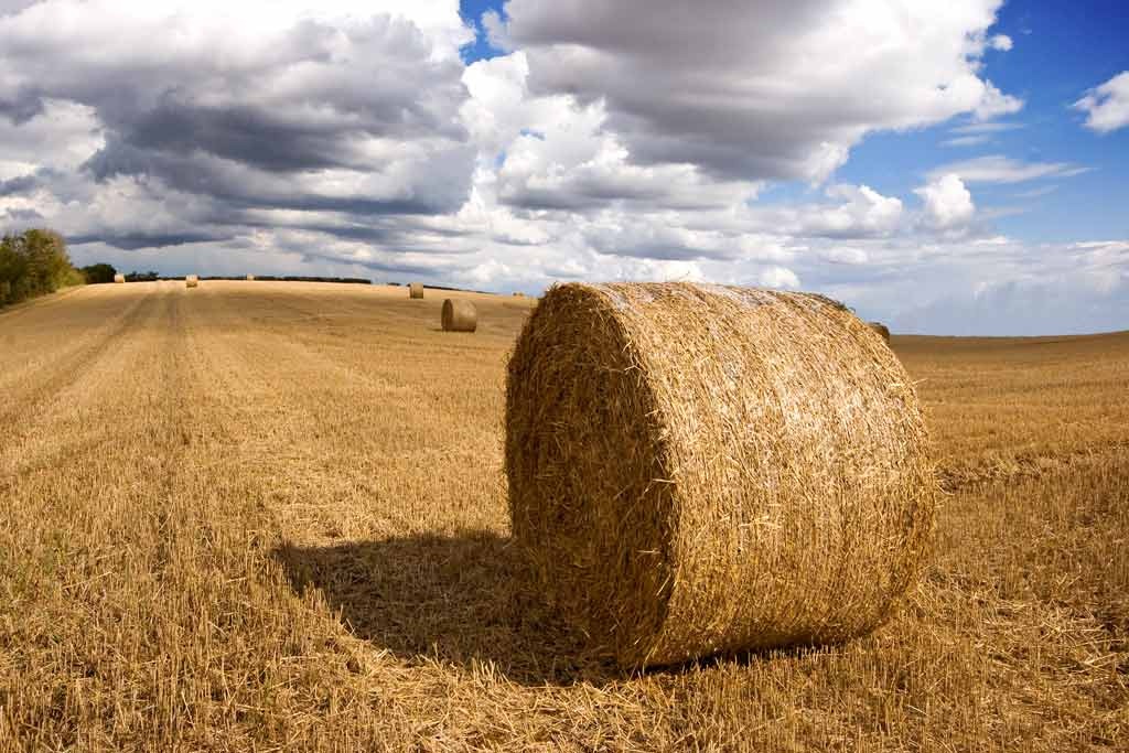 [Hay-Bales%255B7%255D.jpg]