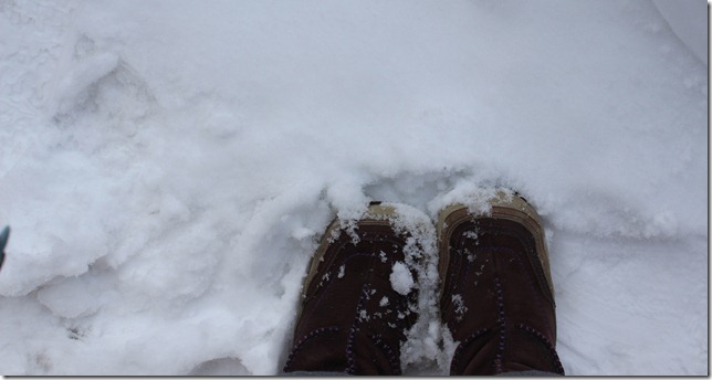 snow feet snow feet