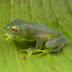 Dscn0225