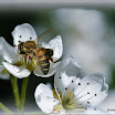 DSC_2766.JPG