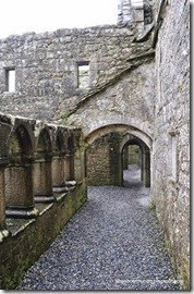 Connemara. Headford. Ruinas del convento Ross Errilly - DSC_0343