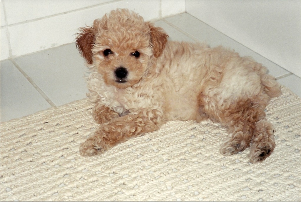 [Lucca_2%255B2%255D.jpg]