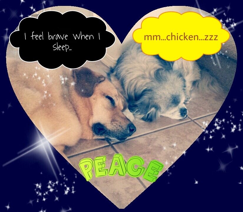 [PicsArt_1358111099870%255B2%255D.jpg]