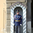 DSC00397.JPG