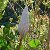 P1000754.JPG