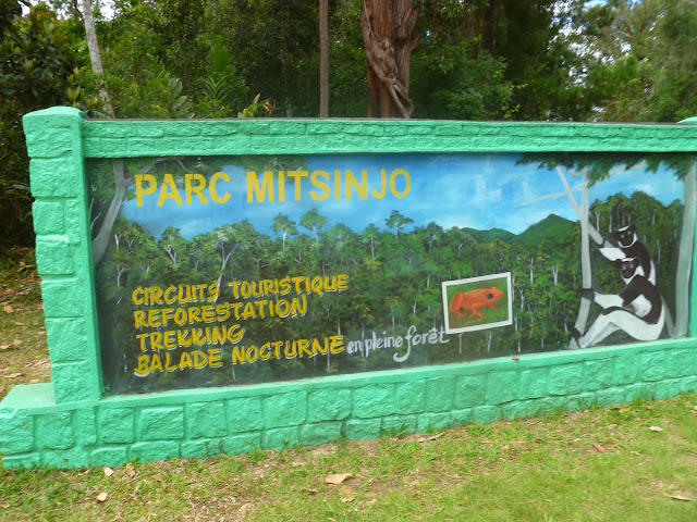 Entrée du Parc Mitsinjo (Station Forestière d'Analamazaotra). 31 décembre 2013. Photo : J. Marquet