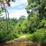 Estrada que leva a Golfito - Costa Rica