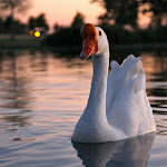 IMG_3643.JPG