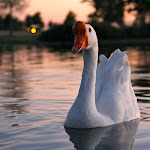IMG_3643.JPG