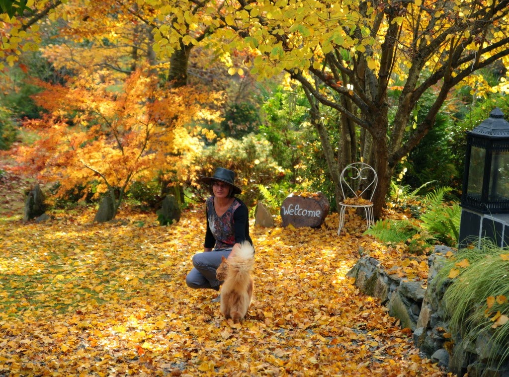 [IMG_9654%255B3%255D.jpg]