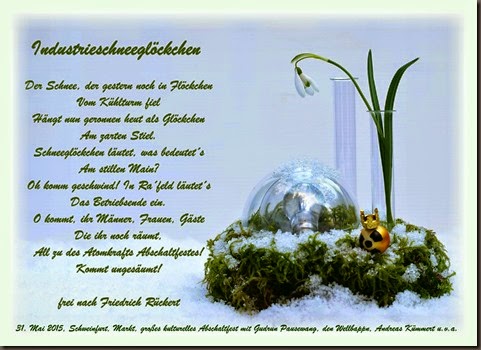 Industrieschneeglöckchen Galanthus nivalis schweinfurtiana ´Graf von Rheinfeld´ Schneeglöckchen Mutation Galanthus nivalis Schweinfurt KKG Grafenrheinfeld