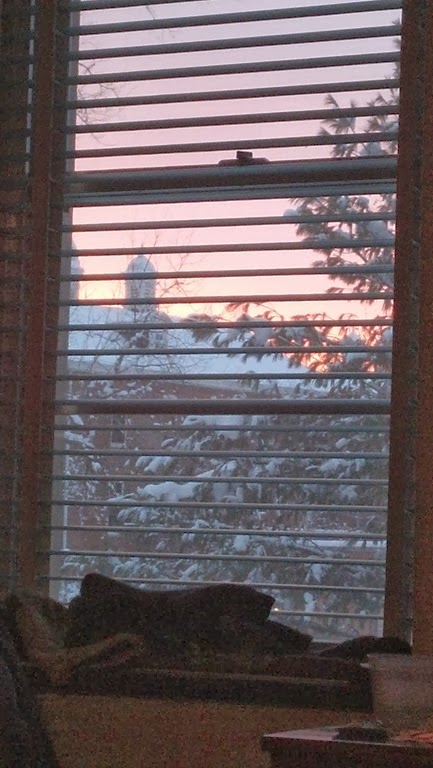 [View%2520from%2520window%255B3%255D.jpg]