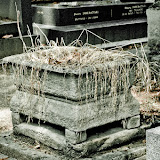 PICT2750