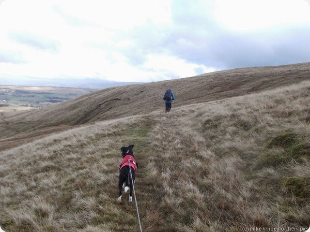 towards ravenstonedale