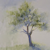 P1010001.jpg
