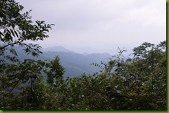 IMG_0038 IMG_0038