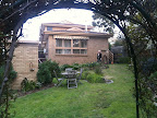 Jul 25 - Backyard