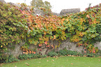 Castle Gardens at the Museum of Welsh Life