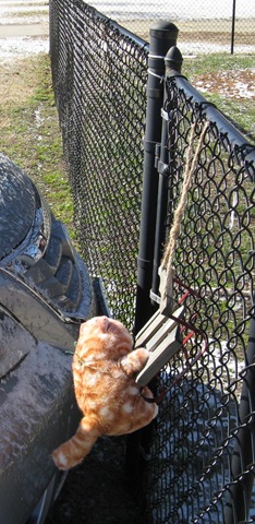[IMG_9103cropped10%255B2%255D.jpg]