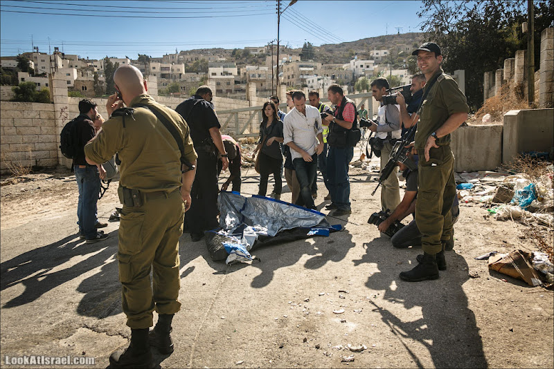 Такие разные протестующие