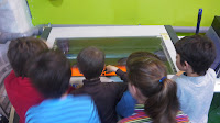 P1150434.JPG