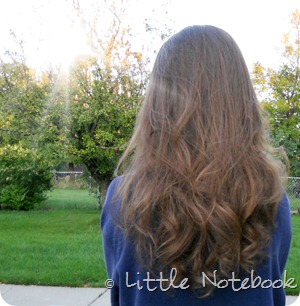 Sock Bun Curls, later in the evening. Sock Bun Curls