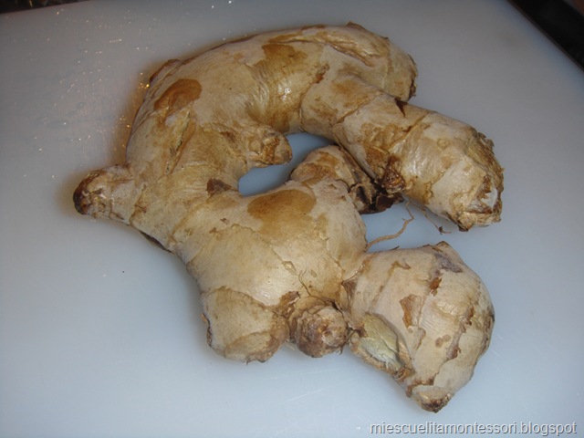 [DSC064713.jpg]