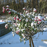 im Winter