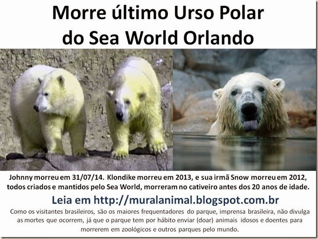 Morre johnny Urso Polar