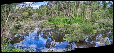 At the Billabong- Autostiched Pano/HDR* set