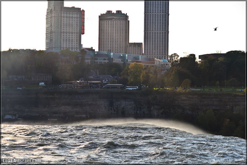 Америка 2.0 / Ниагарский водопад (foto america  фото моря и океаны водопады видео  20111017 usa niagara falls 024 8684)