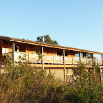 DSCF9490.JPG