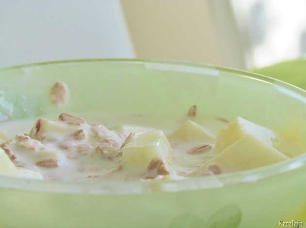 domowyjogurt domowyjogurt