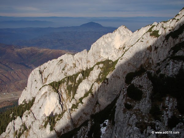 cioranga ramura de sus-37.JPG