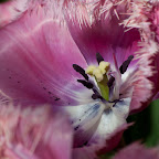 DSC_0779.jpg