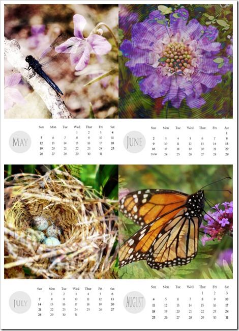 May-Aug 2013 May-Aug 2013