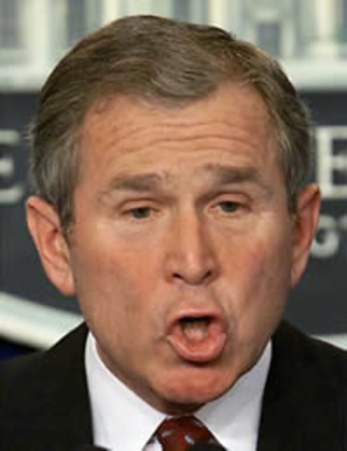 CC Photo Google Image Search Source is media lelombrik net  Subject is bush as chimp