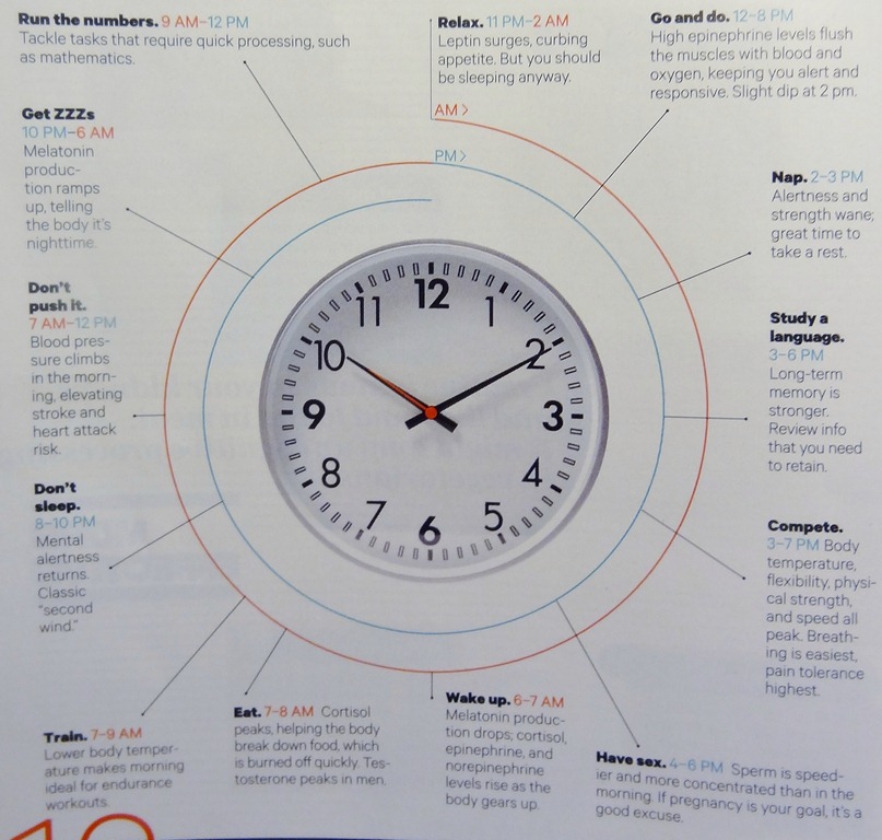 [DSC05273%255B4%255D.jpg]