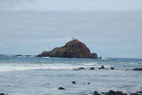 DSC_0972.JPG