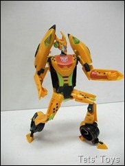 IMG_6962 IMG_6962
