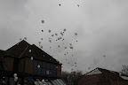 Ballonnenfeest: Foto