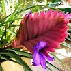 2009_02260054.JPG