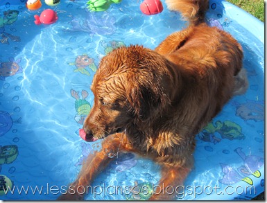 IMG_0186 IMG_0186