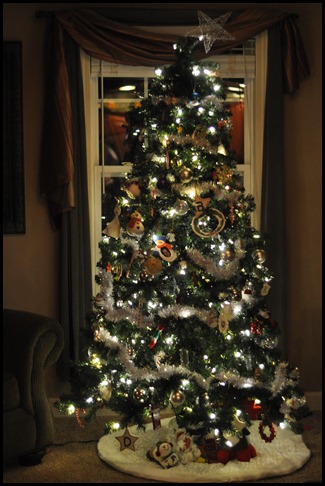 DSC_0269 DSC_0269