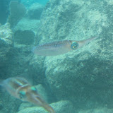 IMG_0492.JPG