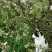 2010 08.JPG