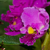 IMG_1401_edited-1.jpg