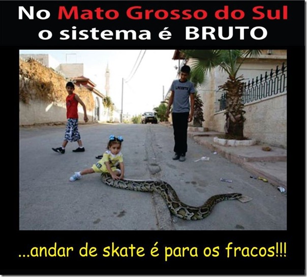 No Mato Grosso do Sul o sistema é bruto