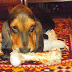 DSCN2504.JPG