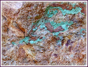 EFP-P1070871 EFP-P1070871